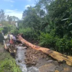 kattappana landslide