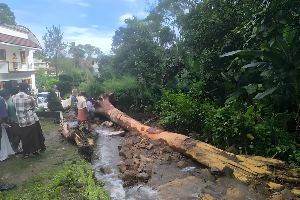 Landslide Strikes Kattappana; Roads and Farmlands Washed Away After Heavy Rainfall kattappana landslide (1) imgupscaler.ai v1(fast) 2k