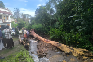 kattappana landslide (1) imgupscaler.ai v1(fast) 2k