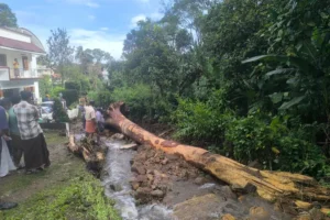kattappana landslide