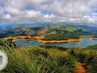 49197363098 d88a7f7e1c b