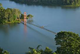 Ayyappancoil Hanging Bridge