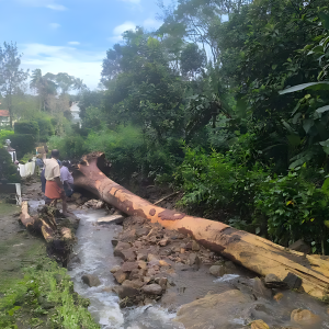 Landslide Strikes Kattappana; Roads and Farmlands Washed Away After Heavy Rainfall